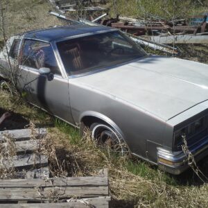 1979 Pontiac Grand Prix